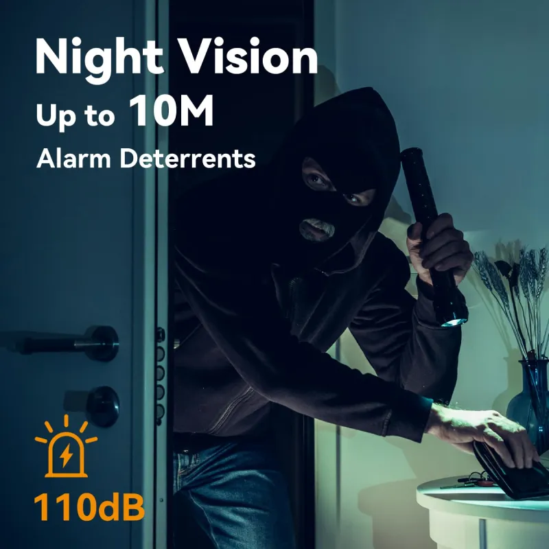 House Security - Image 4